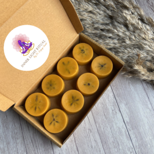 Pumpkin Spice Wax Melts